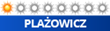 Plażowicz